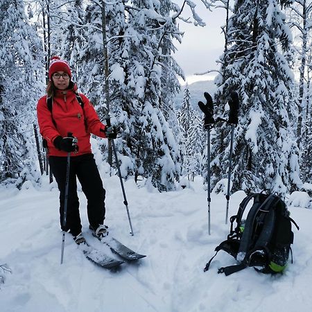 Guesthouse Koli Freetime Ahmovaara エクステリア 写真