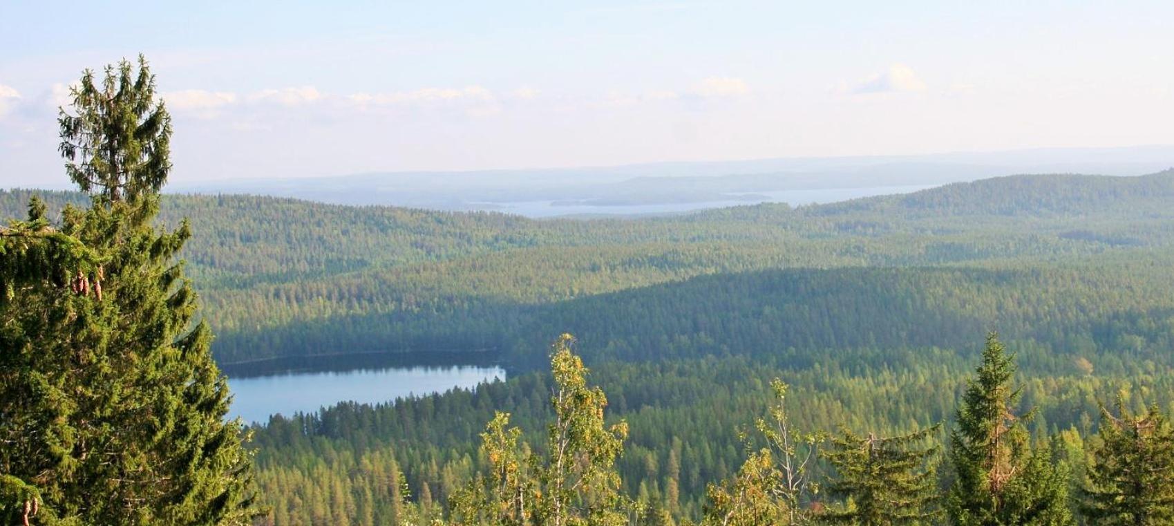 Guesthouse Koli Freetime Ahmovaara エクステリア 写真