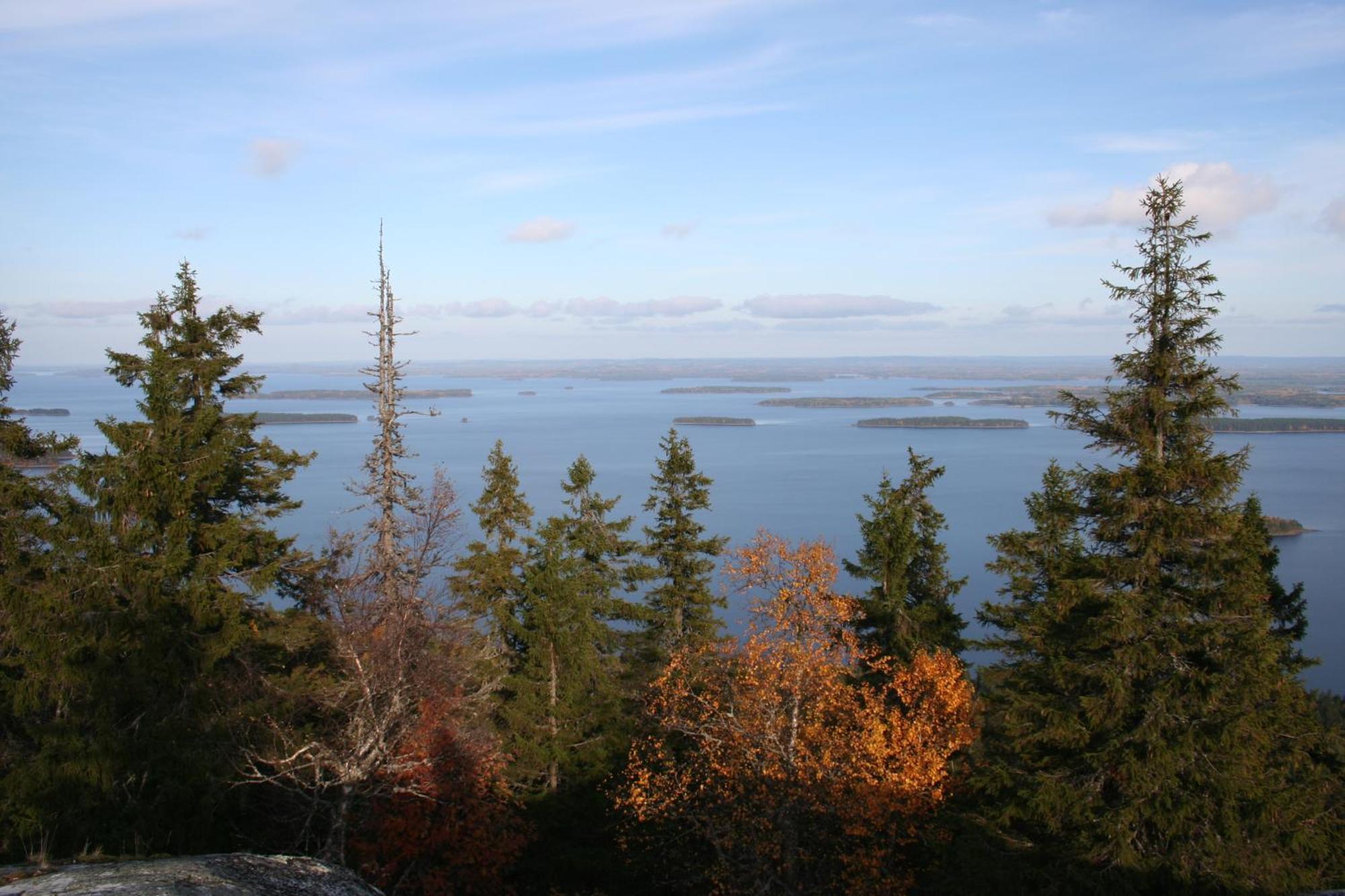 Guesthouse Koli Freetime Ahmovaara エクステリア 写真