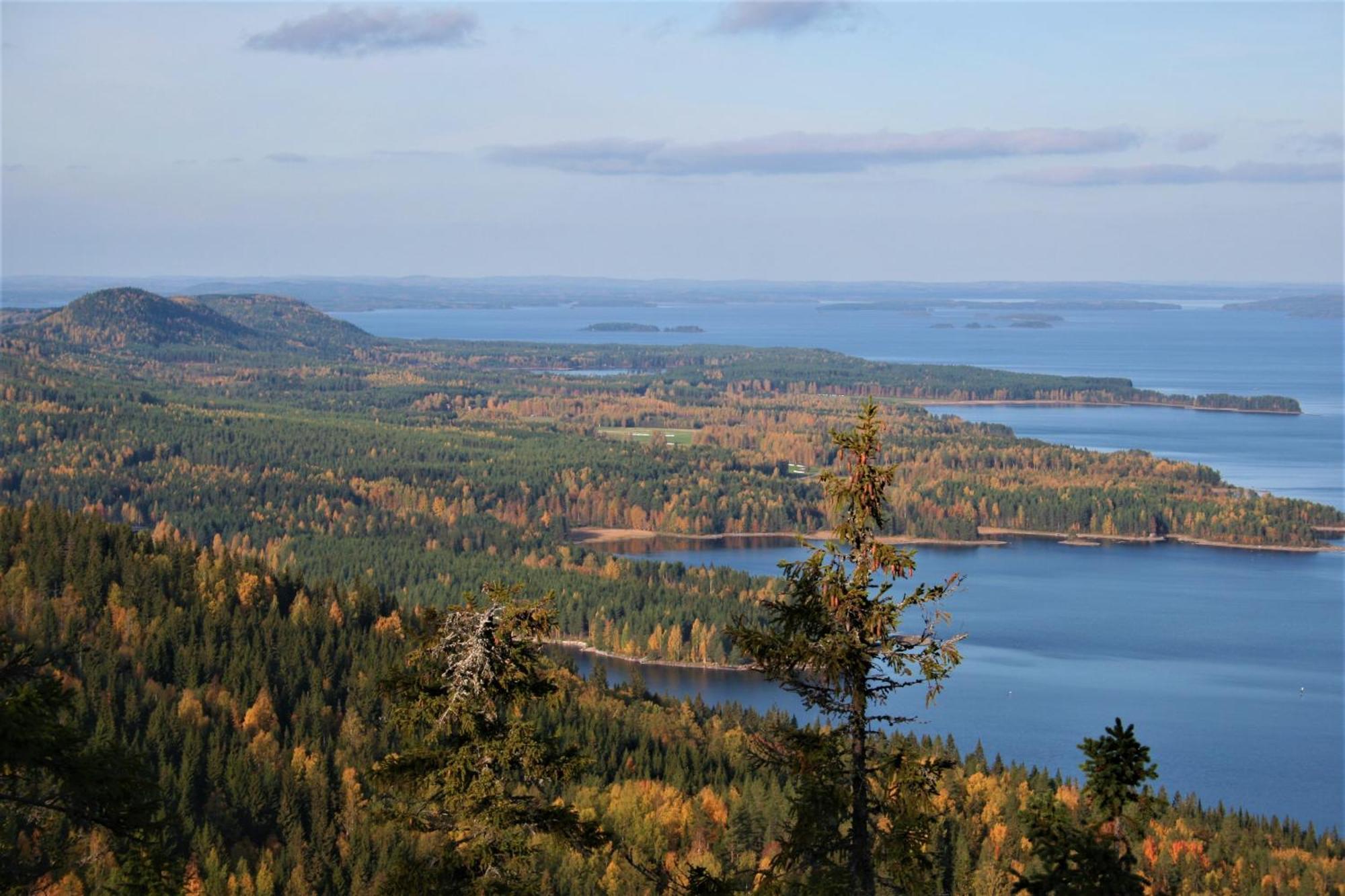 Guesthouse Koli Freetime Ahmovaara エクステリア 写真