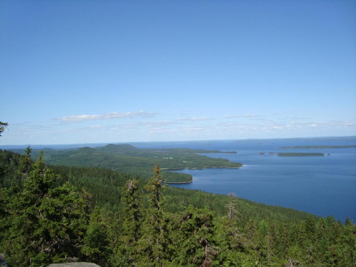 Guesthouse Koli Freetime Ahmovaara エクステリア 写真